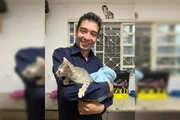 Pablo fez ritual com gatos tigrados, afirmam autoridades