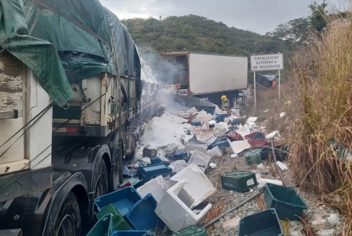 Caminhão carregado com camarão, perdeu o controle, invadiu a contramão e colidiu lateralmente com uma carreta carregada com composto para plantas Caminhão carregado com camarão, perdeu o controle, invadiu a contramão e colidiu lateralmente com uma carreta carregada com composto para plantas