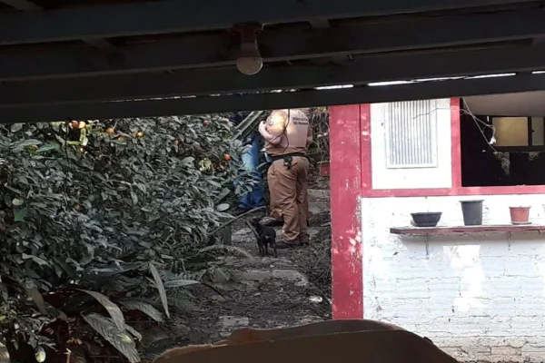 Mãe enterrada em galinheiro pelo filho teve morte natural, diz polícia