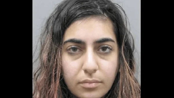 Nika Nikoubin, de 21 anos, enfrenta acusações de tentativa de homicídio, roubo e agressão