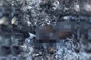 Suposto recém-nascido foi encontrado carbonizado no Recanto das Emas