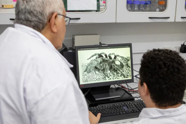 Imagem colorida mostra duas pessoas brancas olhando para uma imagem de uma aranha na tela do computador - Metrópoles