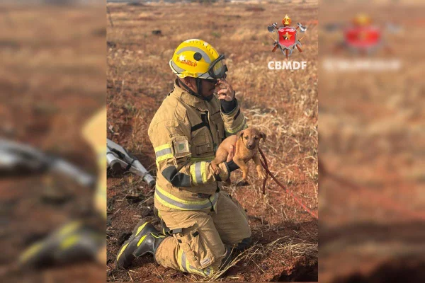 Foto colorida do momento em que um bombeiro resgata o filhote de cachorro que caiu em um buraco no DF