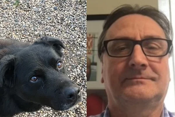 Montagem mostra homem branco de óculos e cachorro preto - Metrópoles