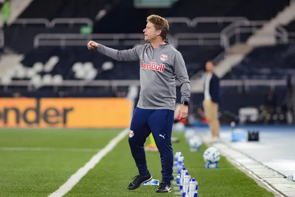 Fernando Seabra - Técnico do Red Bull Bragantino