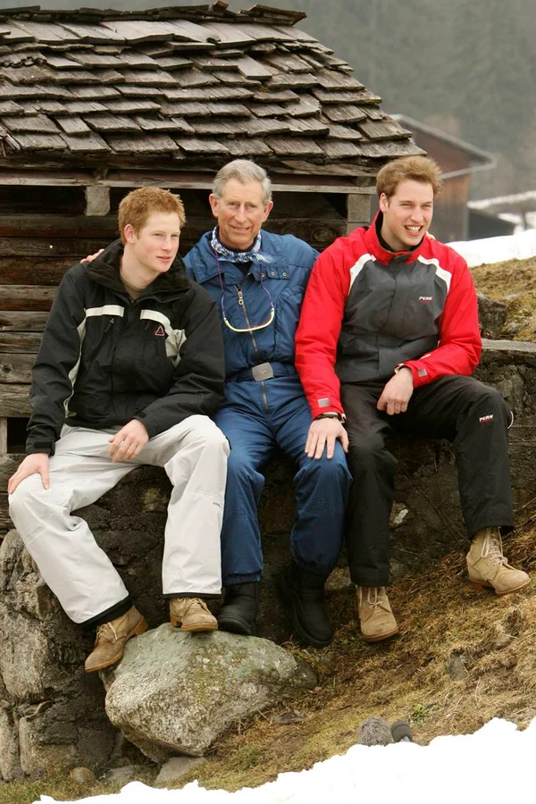 Rei Charles III tem planos de reunir William e Harry em tributo a Lady Di - destaque galeria