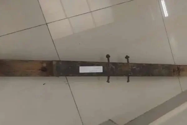 Em possível surto, homem de 67 anos é preso por matar o filho a pauladas com pedaço de pau - Metrópoles