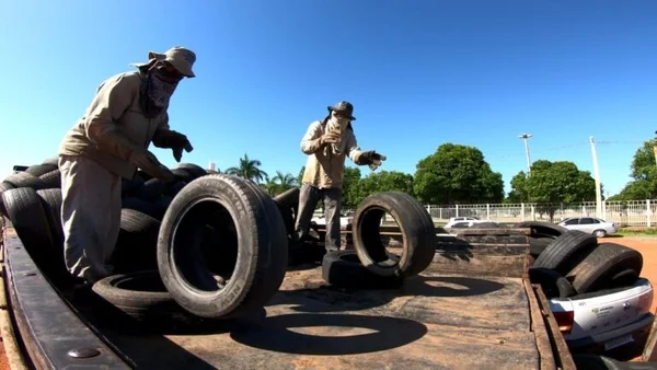 Imagem colorida mostra trabalhadores da Prefeitura de Aparecida de Goiânia (GO) recolhendo pneus durante ação de prevenção à dengue - Metrópoles