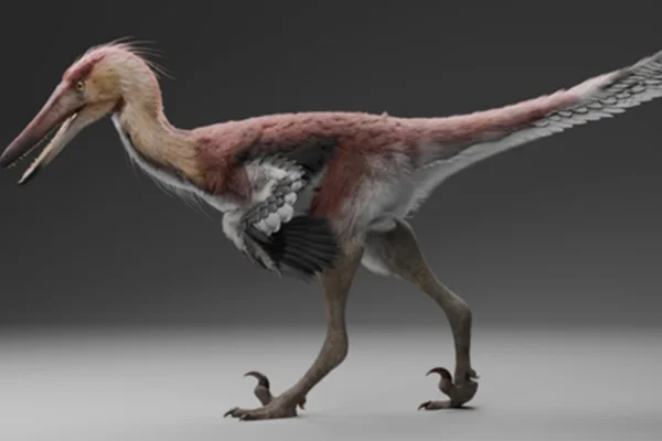 Ilustração colorida mostra nova espécie de dinossauro - Metrópoles