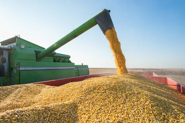 Exportações da agropecuária brasileira crescem 115% em novembro