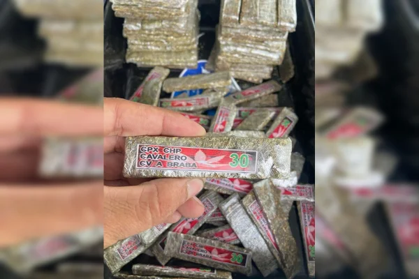 Traficantes exibem maconha vendida nas redes sociais: “É só da braba”