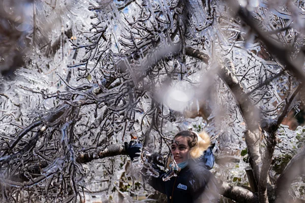 Mulher sob árvore com neve - Metrópoles