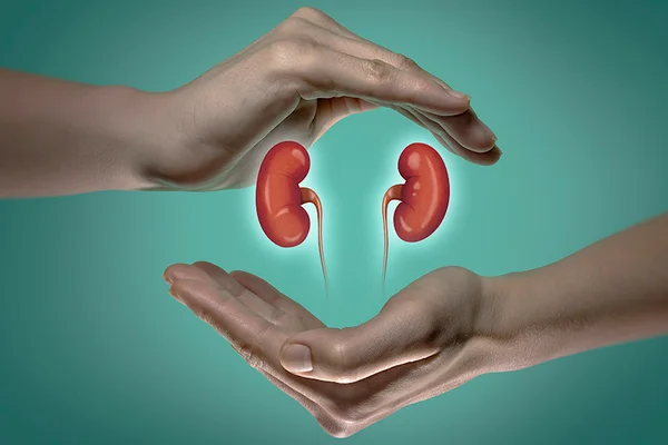Inédito: médicos fazem transplante de rim entre pacientes HIV positivo