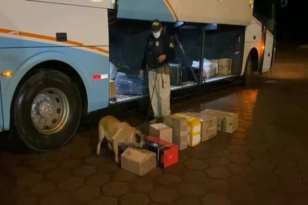 Vídeo: PRF apreende 3kg de maconha em ônibus no DF com destino à Bahia