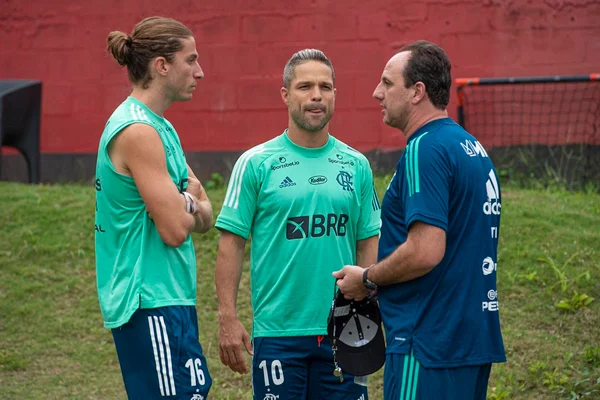 Filipe Luis, Diego e Ceni Flamengo