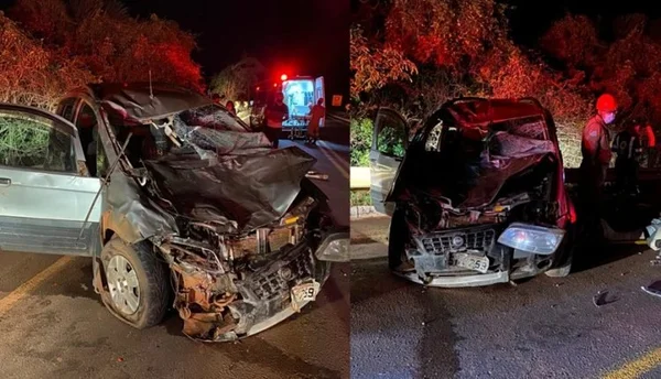 Mãe e filha atropelam três vacas que pastavam em rodovia e são internadas