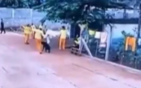 goias detento mata cachorro com chute
