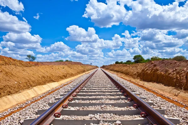 Eficiência e segurança colocam ferrovias do Brasil em patamar global