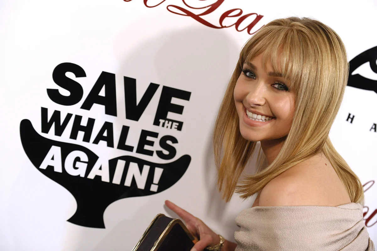 Hayden Panettiere relembre a luta da atriz pela proteção animal Hayden Panettiere relembre a luta da atriz pela proteção animal