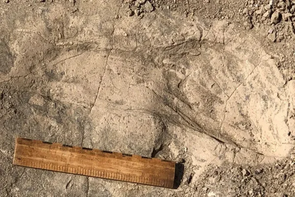 Imagem colorida mostra pegada de parente humano no Quênia - Metrópoles