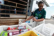 Metrópoles Endurance arrecada 885 kg de alimentos para doações - imagem 6 Metrópoles Endurance arrecada 885 kg de alimentos para doações - imagem 6