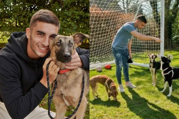Fotos coloridas de Ferran Torres, jogador espanhol, com cães