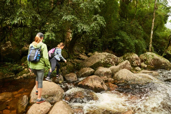 foto colorida pessoas fazendo trilha