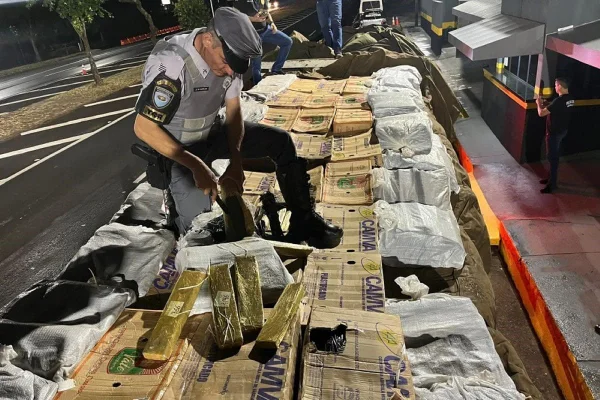 Vídeo: polícia apreende 2,5 toneladas de maconha no interior de SP