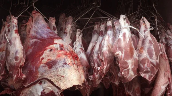 Após caso de vaca louca, Brasil volta a exportar carne bovina à China