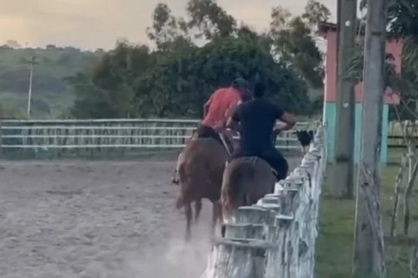 Imagem colorida, vaqueiro montado no cavalo antes de morrer - Metrópoles