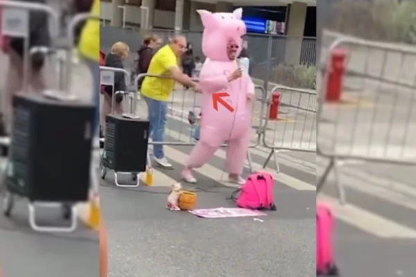 Um manifestante que estava no ato pró-Bolsonaro furou a fantasia do "Porquinho da Paulista" com um garfo. Vítima desabafou nas redes - Metrópoles