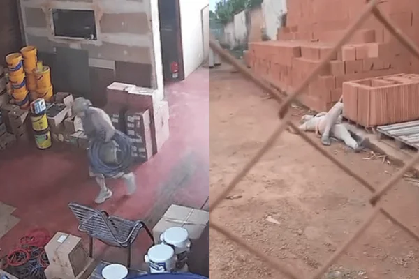 Por um fio: homem desmaia após ser atacado por cão em tentativa de furto