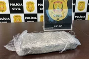Os investigadores prenderam a dupla em flagrante