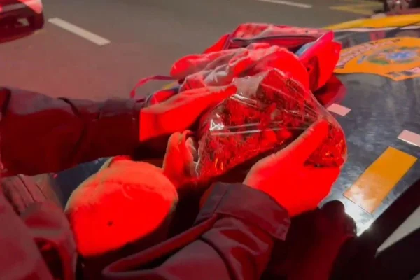 Imagem colorida mostra maconha sendo retirada de bicho de pelúcia levado por motociclista de aplicativo no interior de São Paulo - Metrópoles