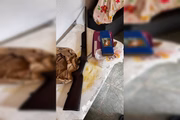 Arma e drogas