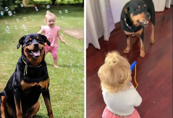 Gia e Zara uma cachorra preta com uma criança loira que faz sucesso na internet