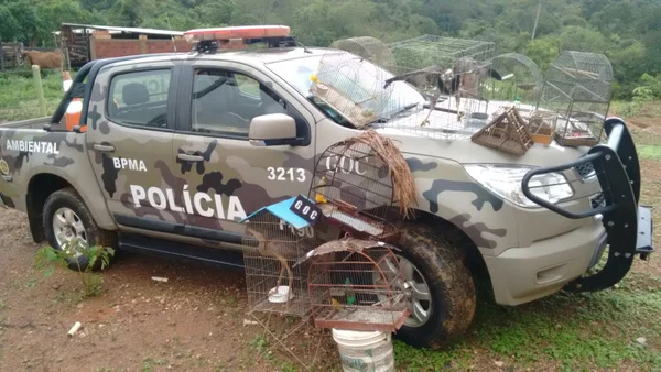 Homem é preso por manter animais silvestres em chácara