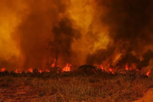 Incêndio no Pantanal focos de calor - Metrópoles