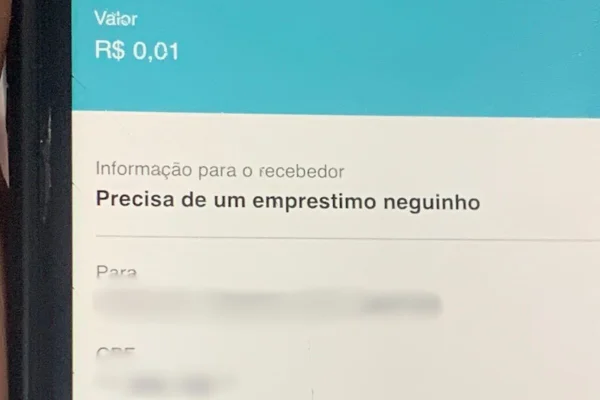Reprodução de depósito de pix, de R$ 0,01, com frase de teor racista - Metrópoles
