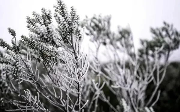 Neve em Santa Catarina