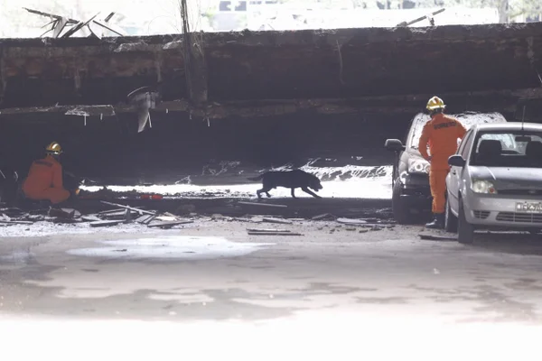 Bombeiros usam cães para procurar se há vítimas em desastre no Eixão