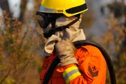 Bombeiro durante combate ao fogo em área de Cerrado