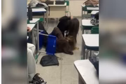 Adolescentes brigaram dentro de sala de aula