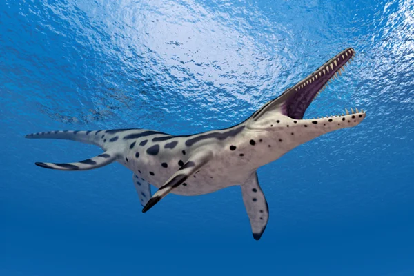 Foto de dinossauro gigante no mar - Metrópoles
