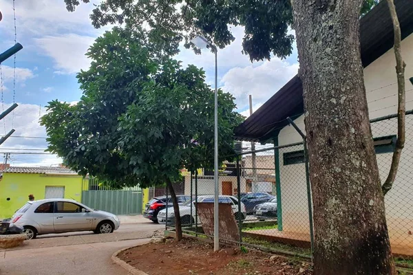 Poste ao lado de árvore