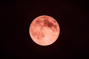 "Lua de Morango” atinge auge nesta quarta (11/6); saiba como observar
