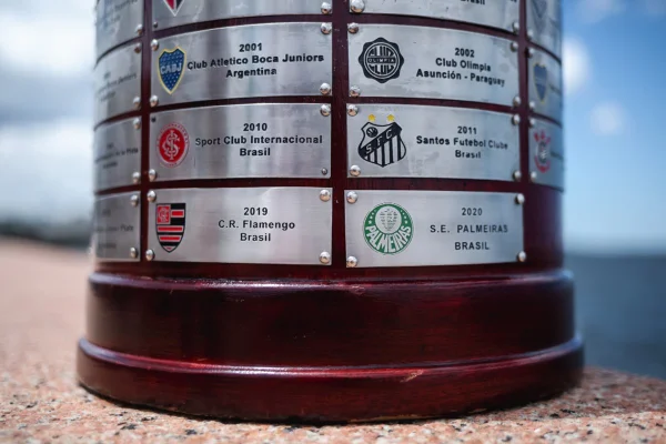 Flamengo e Palmeiras