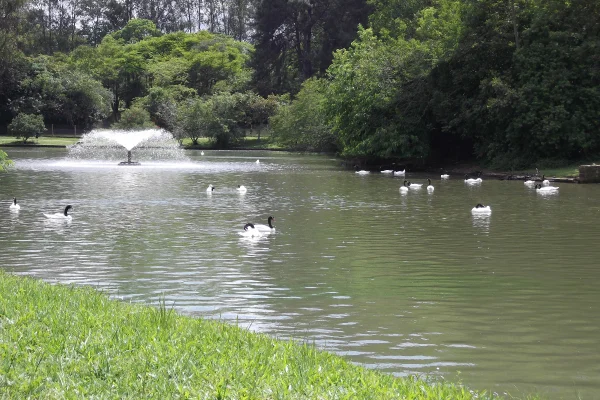 Parque Zoológico de Sapucaia do Sul, na região metropolitana de Porto Alegre (RS) - Metrópoles