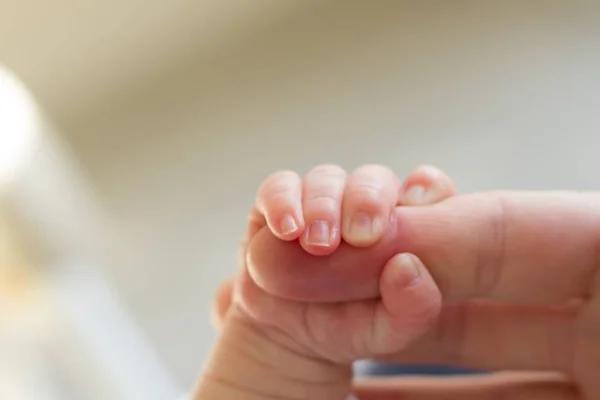 Bebê é abandonado com carta da mãe: “Só quero o melhor para ele”