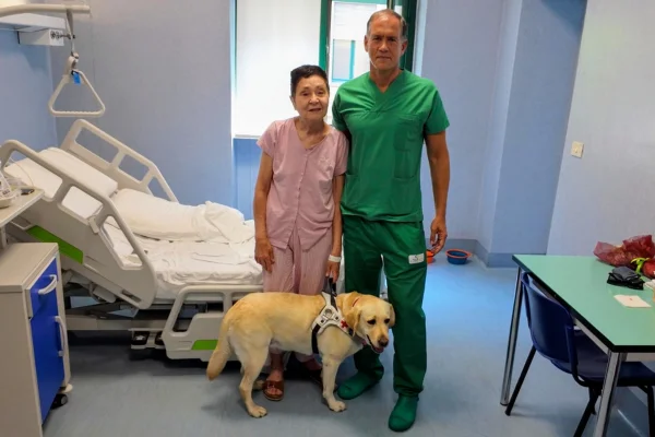Imagem mostra idosa, médico e cão guia em quarto de hospital - Metrópoles